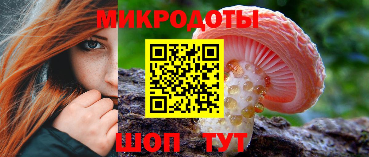 Галлюциногенные грибы Magic Shrooms  Вход с VPN  Богданович  Псилоцибиновые грибы Magic Shrooms 